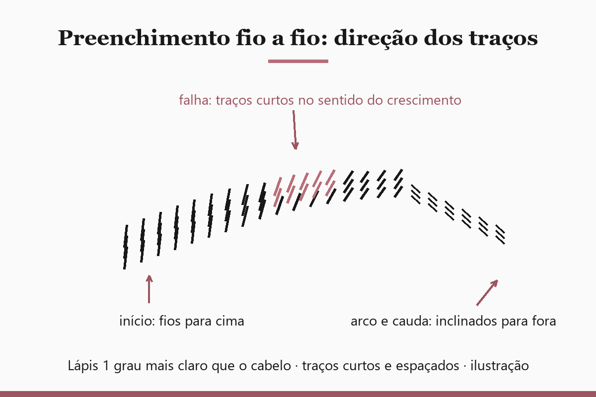 ilustração da técnica fio a fio: traços curtos na direção do crescimento do pelo, para cima no início e inclinados no arco e na cauda